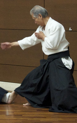 Kazuo Kawagishi 川岸和男　全日本柔拳連盟特別顧問